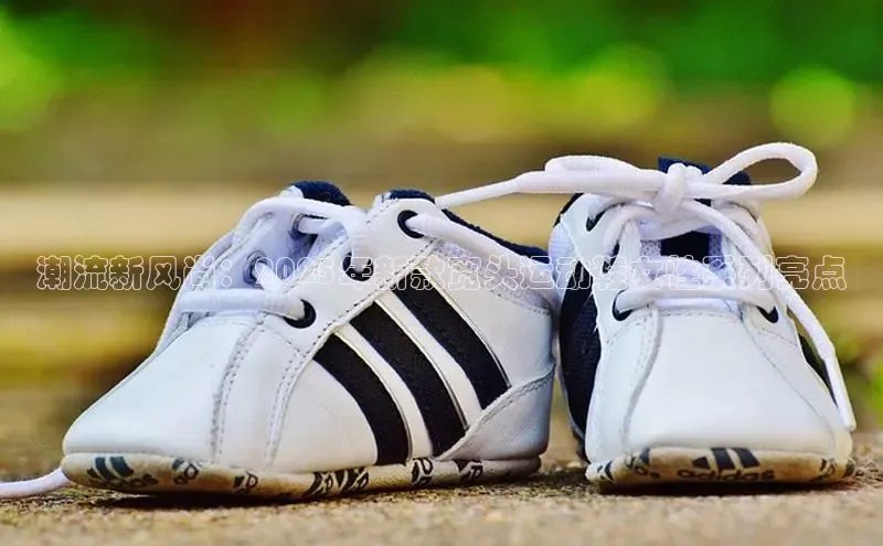 潮流新风尚：2025年新款宽头运动鞋女性系列亮点